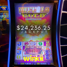 APP oficial da winxx para mobile