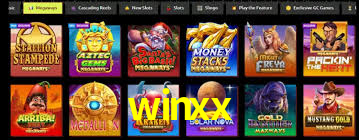 winxx,winxx.vip